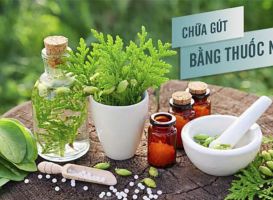 Chữa bệnh gút bằng thuốc nam