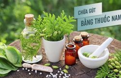 Chữa bệnh gút bằng thuốc nam