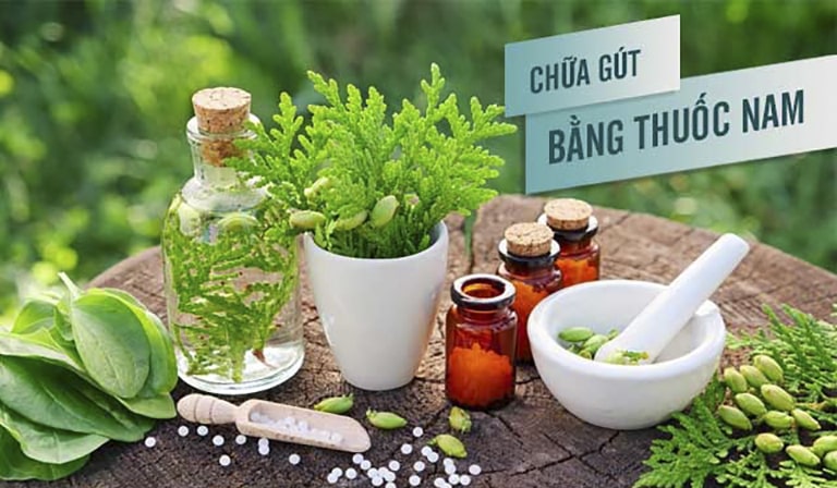 Chữa bệnh gút bằng thuốc nam